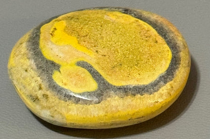 Bumble Bee Jasper