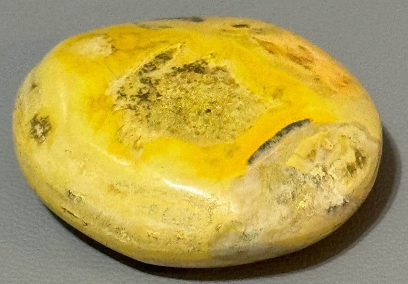Bumble Bee Jasper